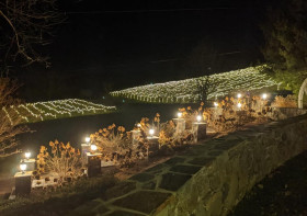 265661498_235967628648525_3263426121444513858_n